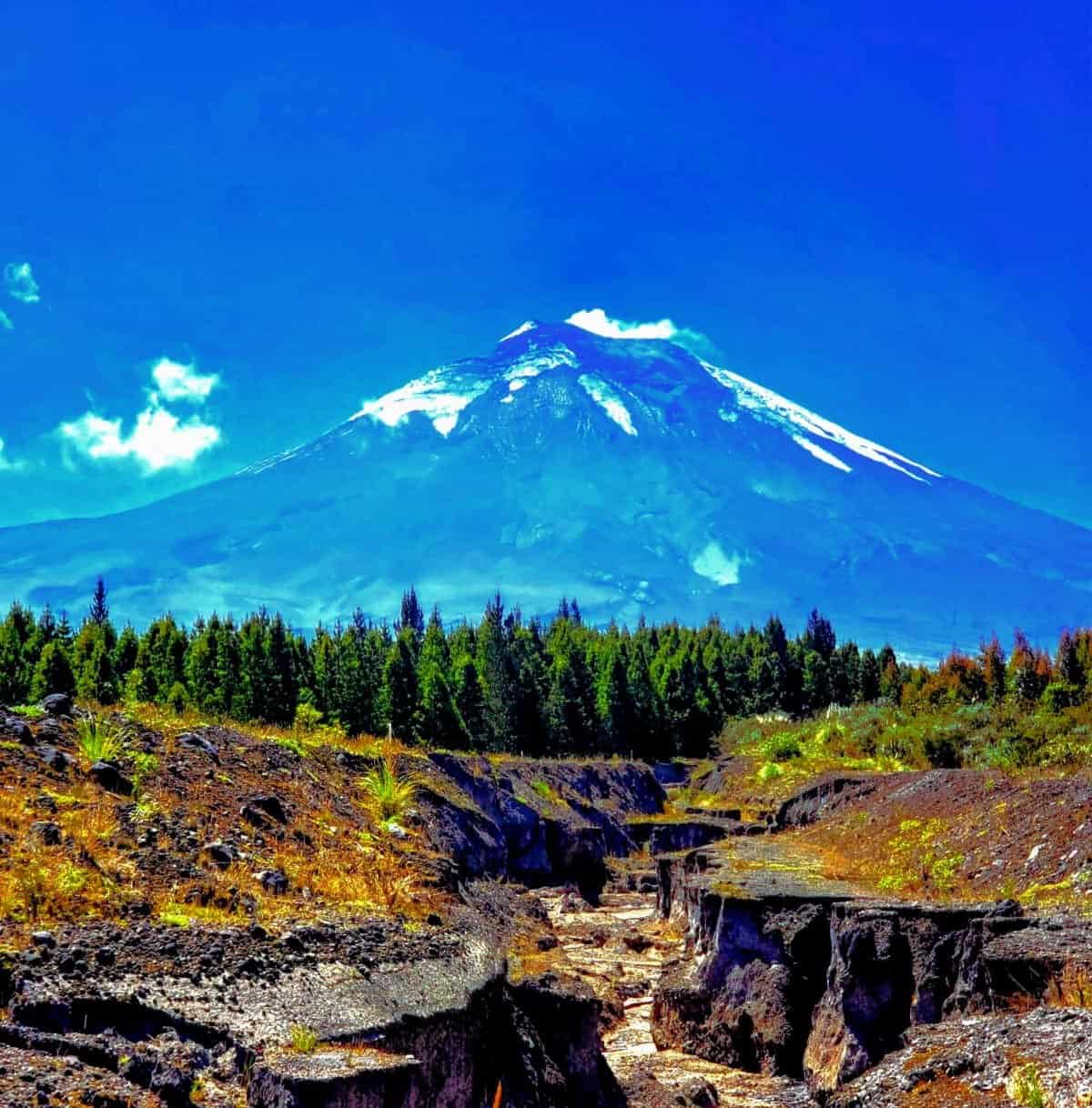Snow-capped volcano above forest and rocky terrain