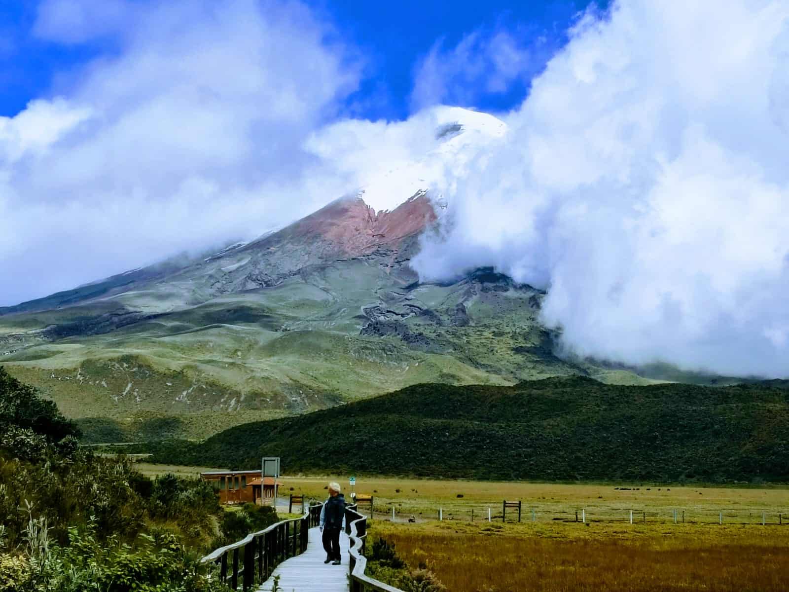Snow-capped mountain above green valley and boardwalk