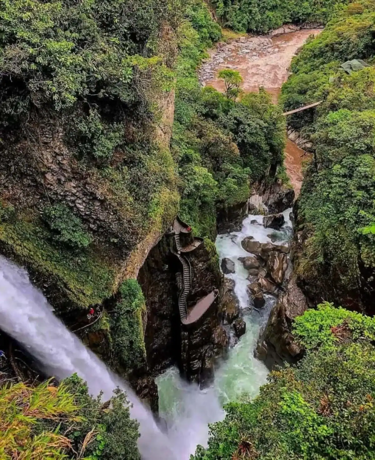 Waterfall and stone stairway in lush canyon