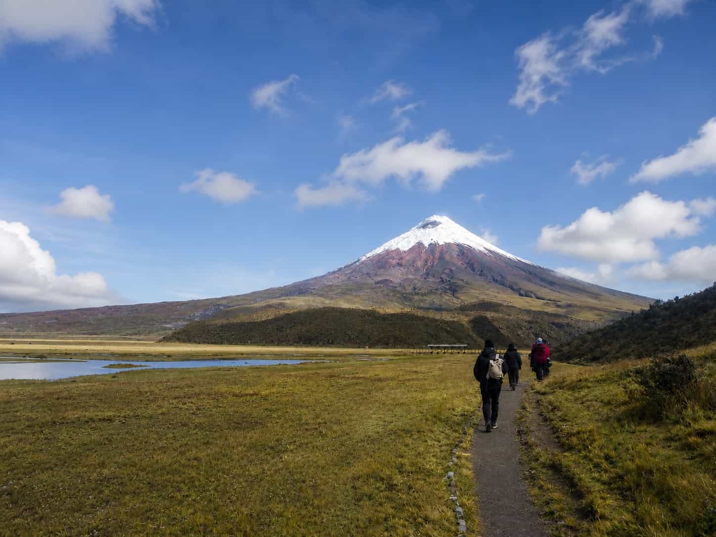 Hikers walking toward snow-capped mountain under blue sky