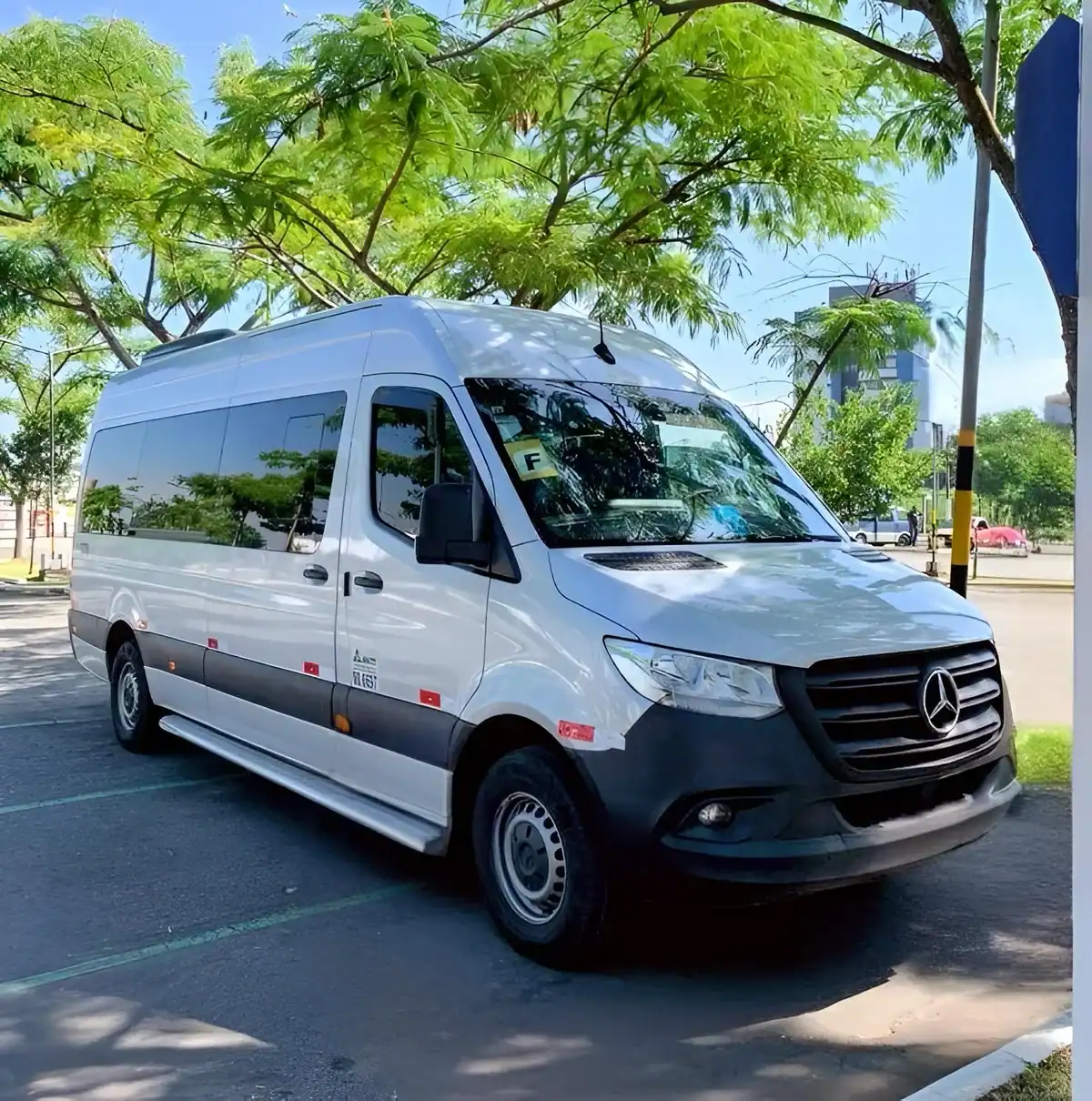 Furgoneta blanca Mercedes aparcada en calle arbolada