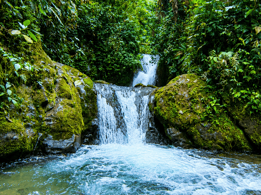 Small waterfall in lush tropical rainforest