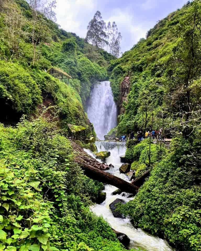 Waterfall cascading through lush green forested ravine